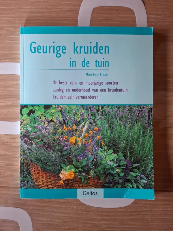 Geurige kruiden in de tuin