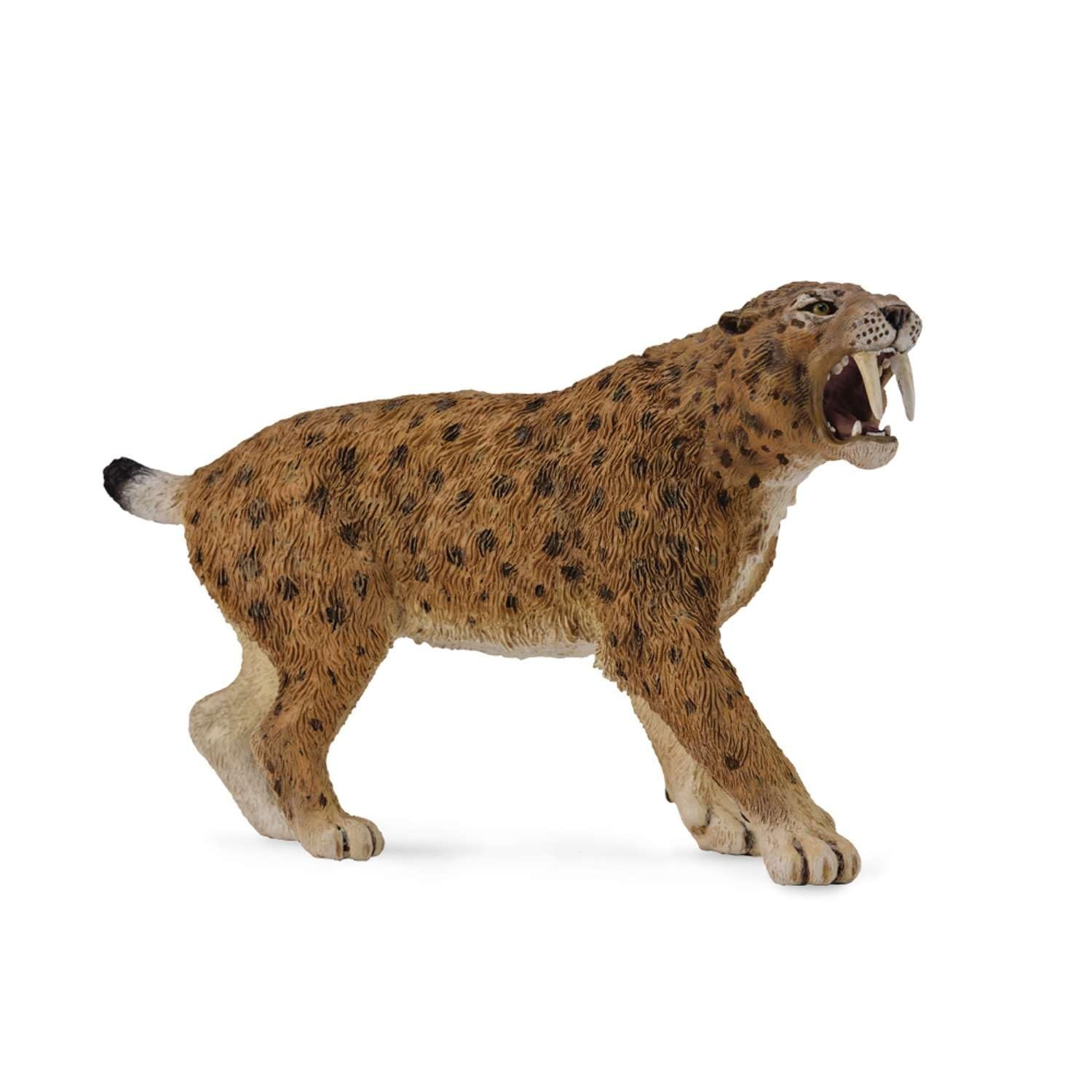 Smilodon XL 12,5 cm x 8 cm Dinosauri Creature Preistoriche - Marrone