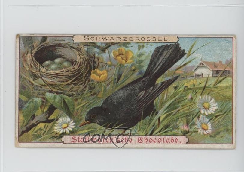 Album cioccolatini 1899 Stollwerck 3 edizione alimentare Schwarzdrossel #92-1 15ia