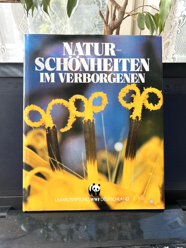 Schönheitenin der Natur im Verborgenen“, max. Bebilderung, geb. Buch, 254 Seiten