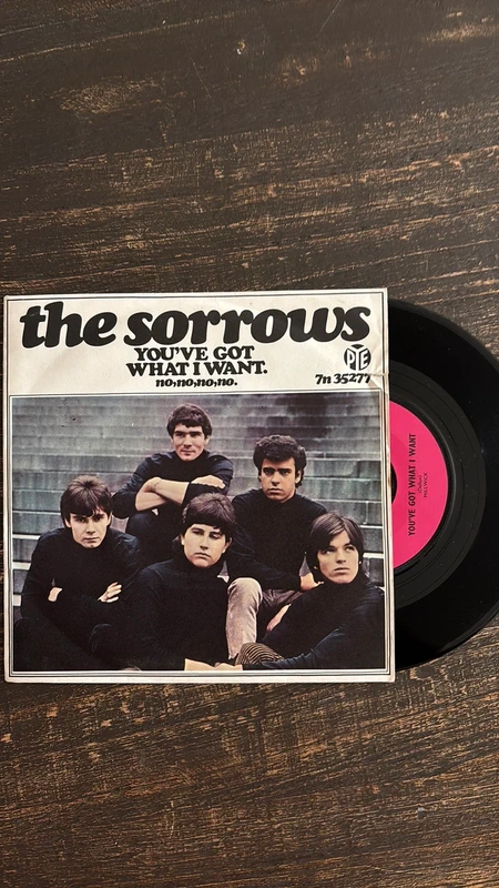 The Sorrows - You’ve got what I want