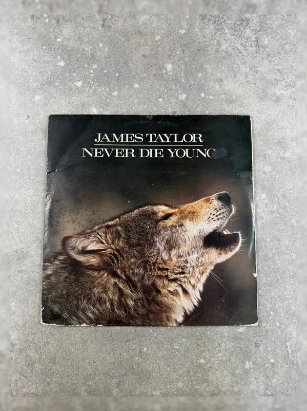 James Taylor vinyle 33 tours rock