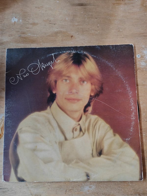 Disco 33 giri nino d Angelo