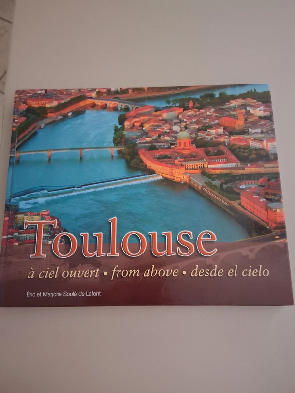 Livre Toulouse à ciel ouvert