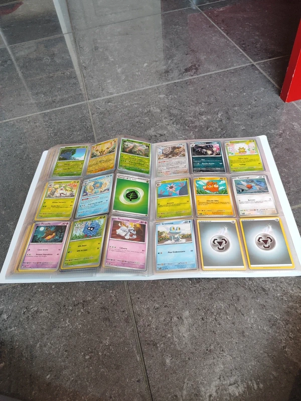 carnet pokémon entier