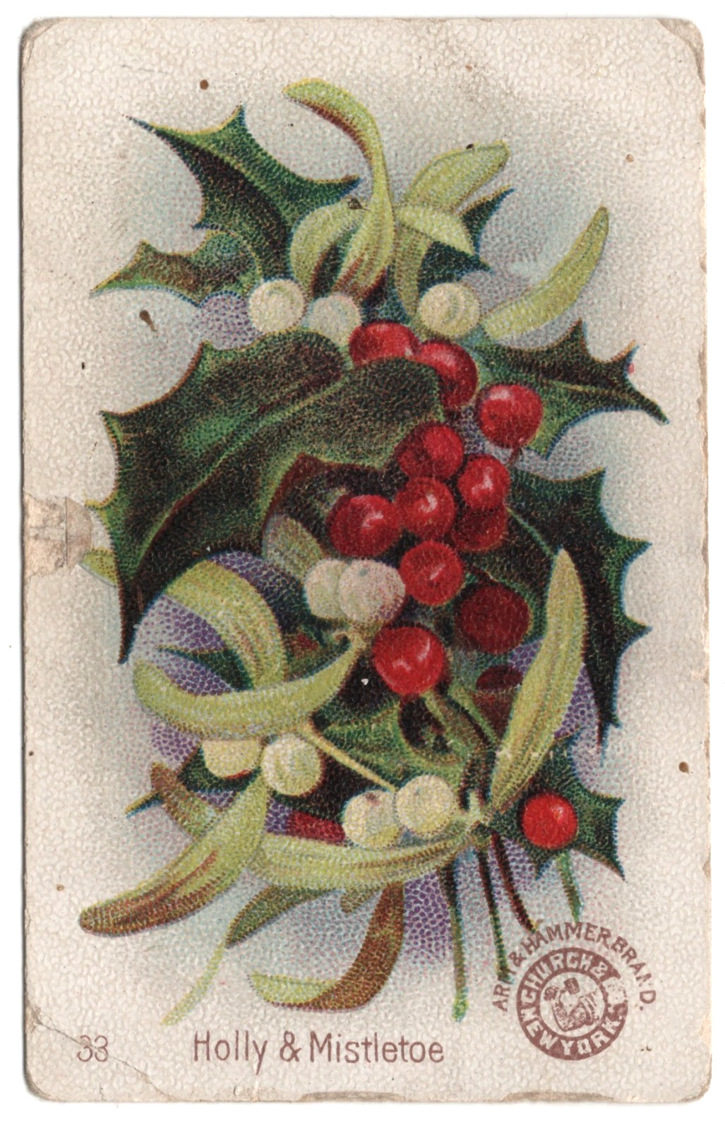 1895 Holly & Mistletoe Card Arm & Hammer J16 Church & Dwight Flowers Series