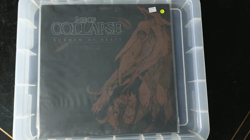 Age Of Collapse - Burden Of Beast