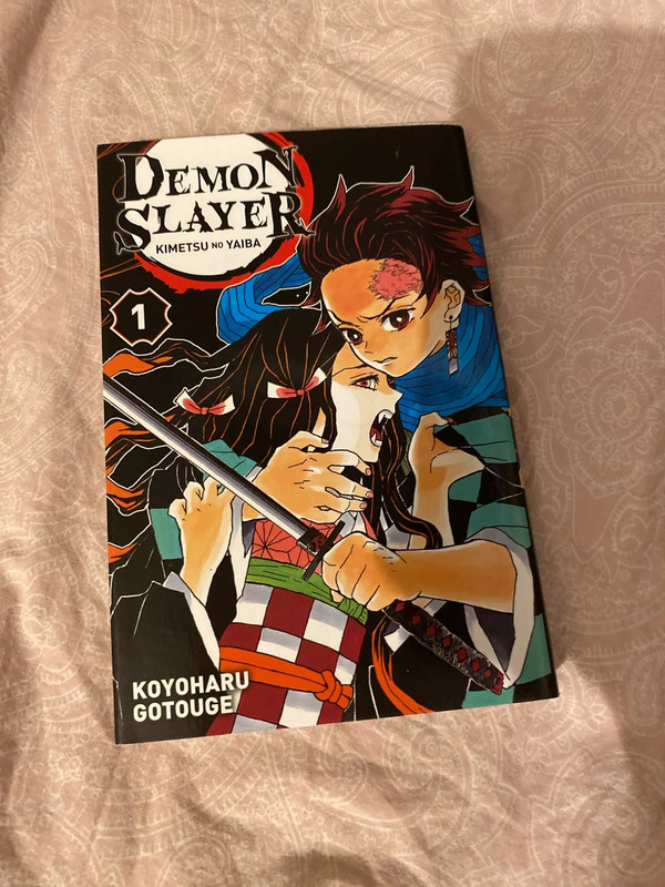 Demon Slayer tome 1