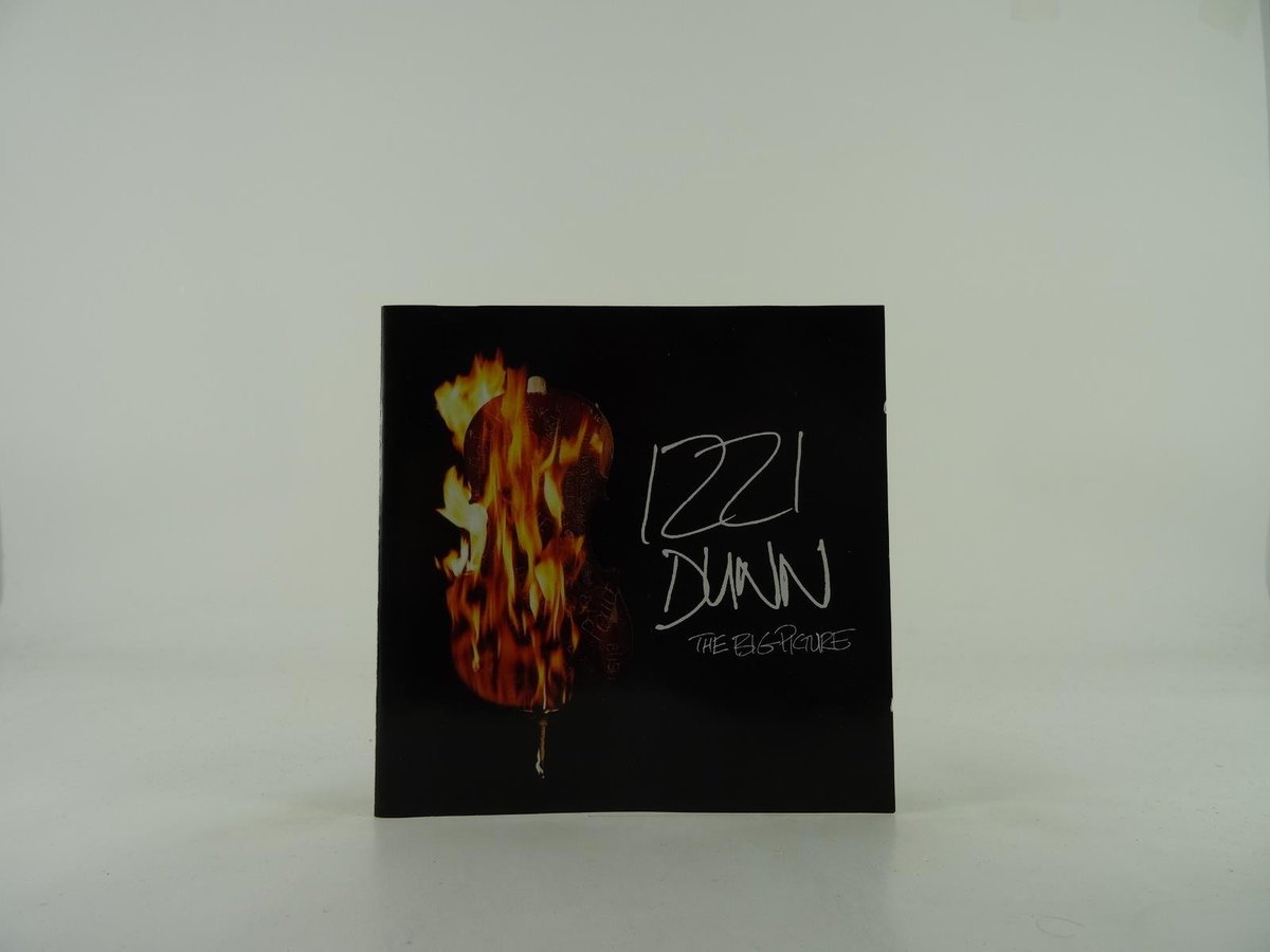IZZI DUNN THE BIG PICTURE (299) 14 Track CD Album plus Picture Sleeve FIREWORX