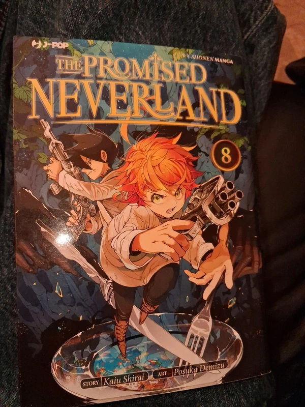 The promise and neverlands 8