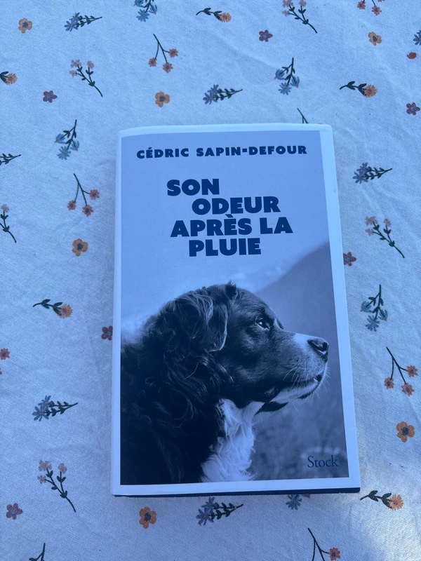 Son odeur après la pluie