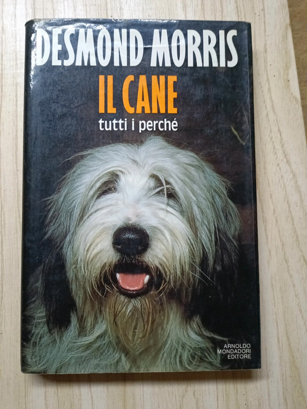 Il cane tutti i perche