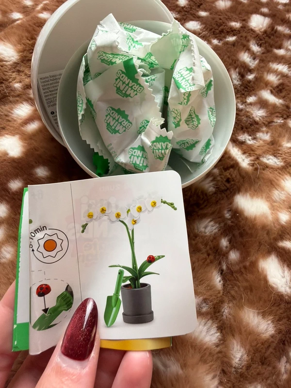 Minibrands garden