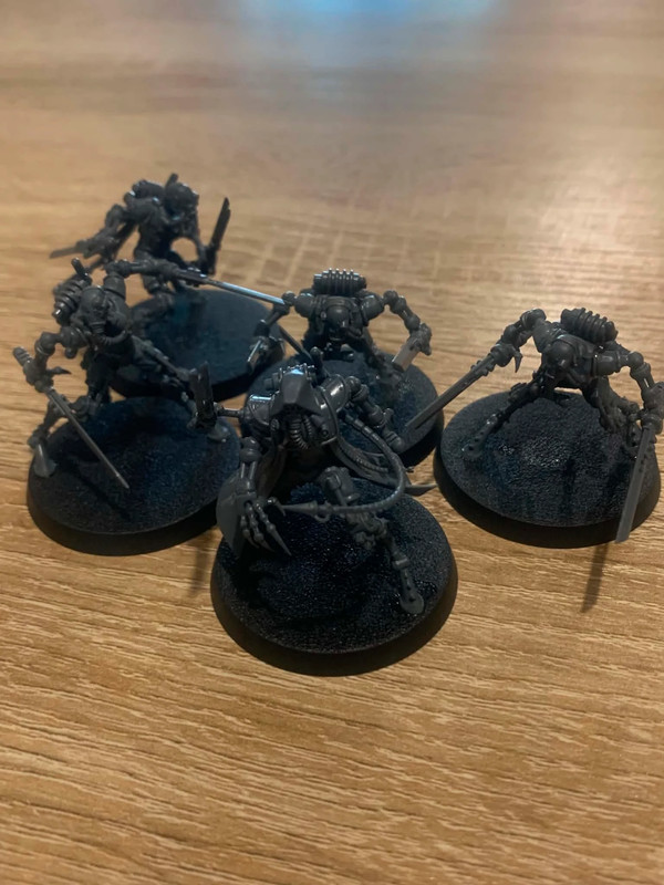 sicarian infiltrators