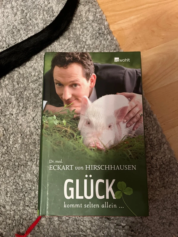 Gute Laune Buch