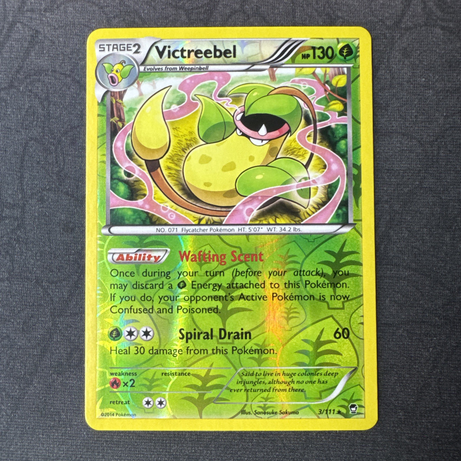 Victreebel 3/111 XY - Furious Fists Reverse Holo Pokemon MJ