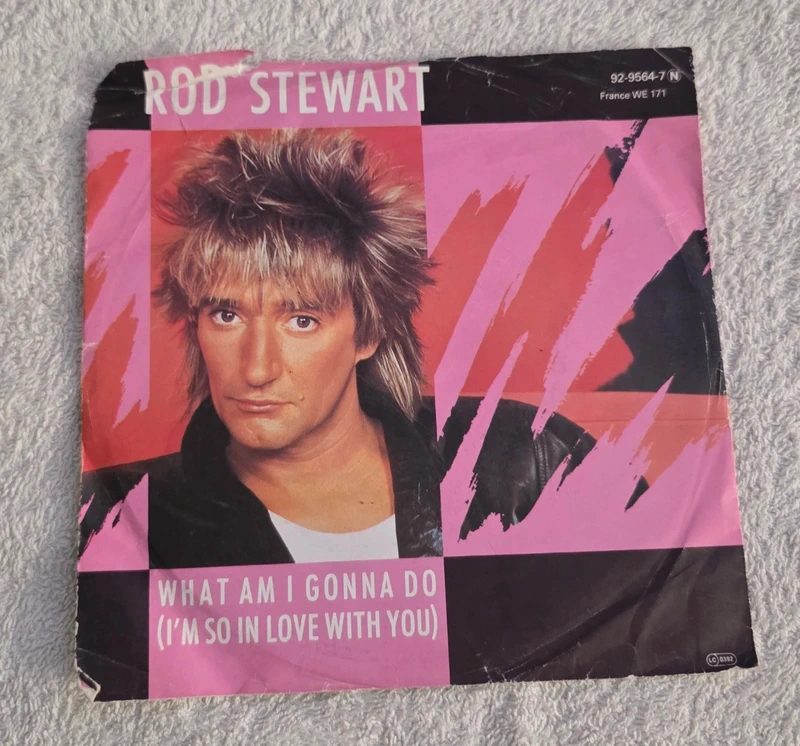 Disco Vinil Single  RooD Stewart