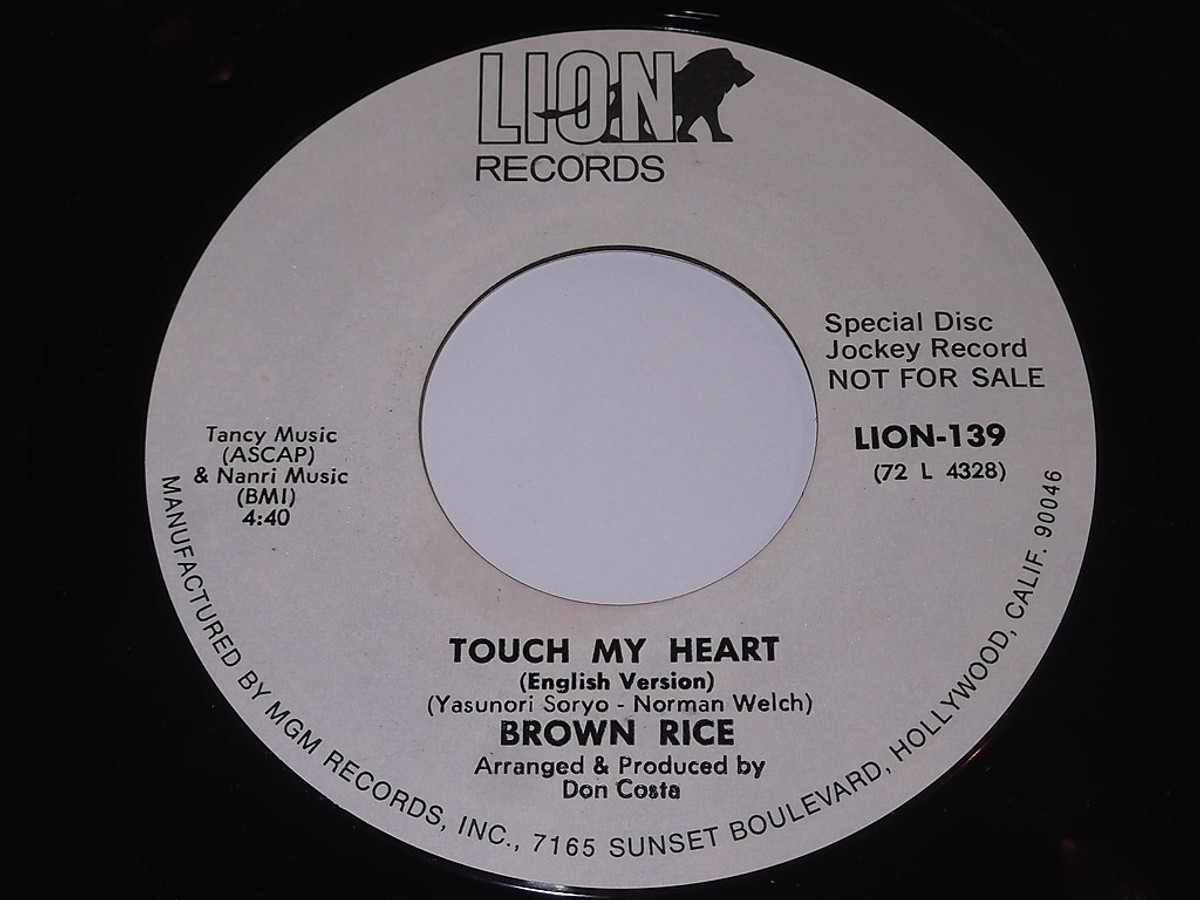 Brown Rice - Touch My Heart / Celebration Day 45