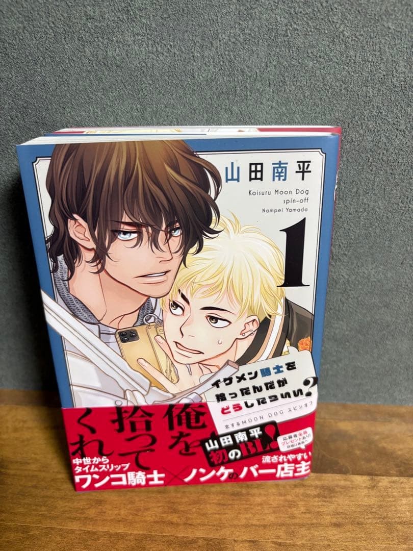 Yamada Nanpei - Ho preso un bel cavaliere? Vol. 1, 2 set di 2 volumi con