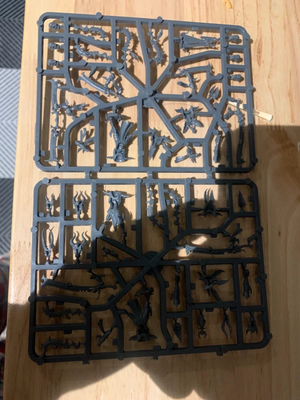 Incubes 40K