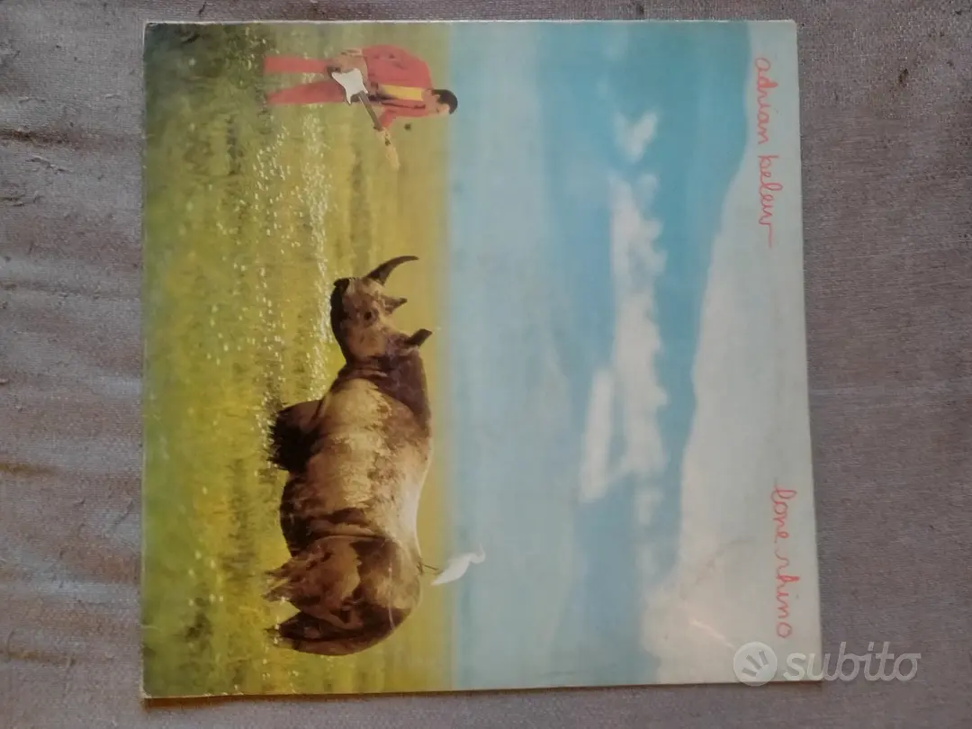 Adrian Belew - Lone Rhino