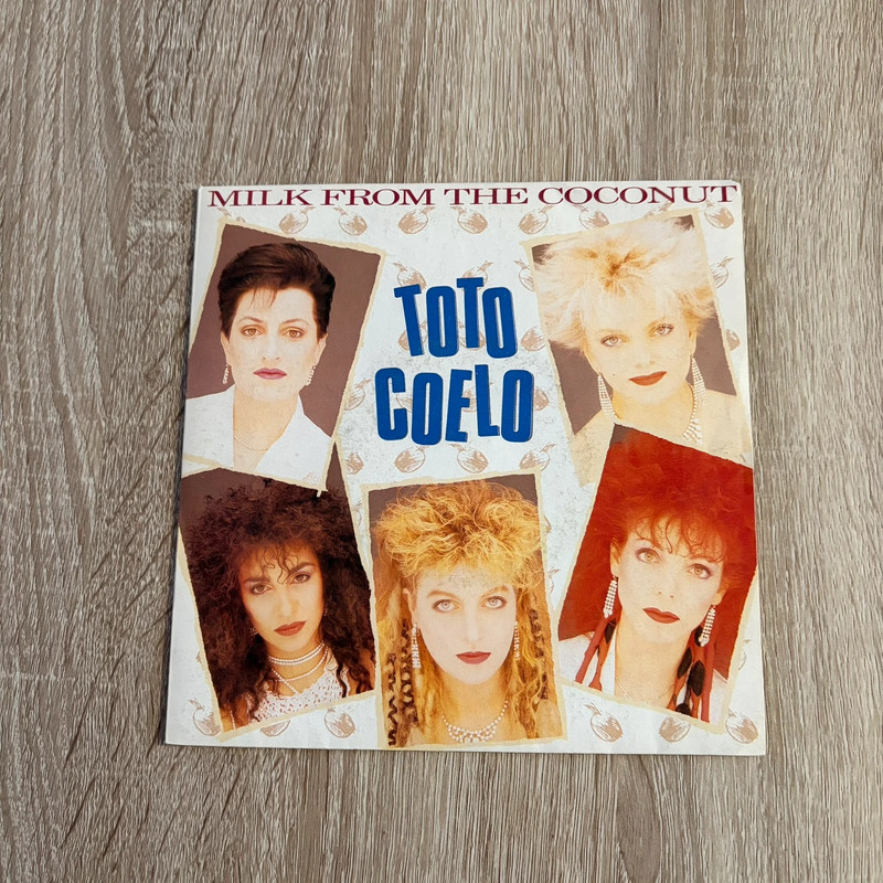 Disque 45 tours vinyle Toto Coelo