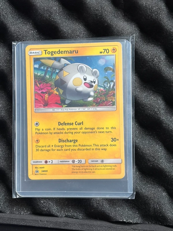 Togemaru promo holo