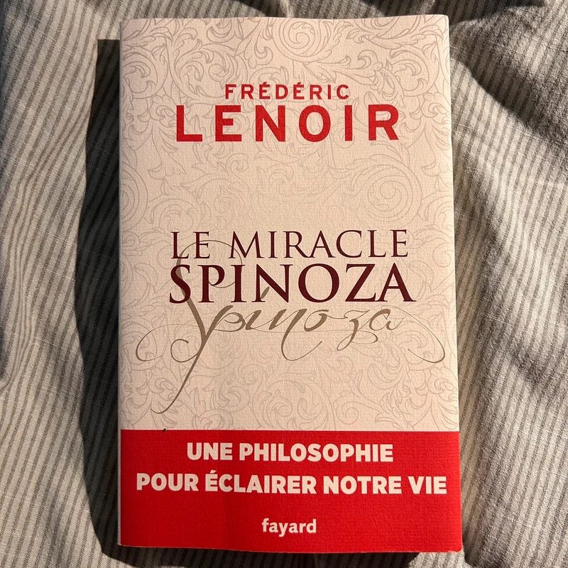 Livre Le miracle Spinoza