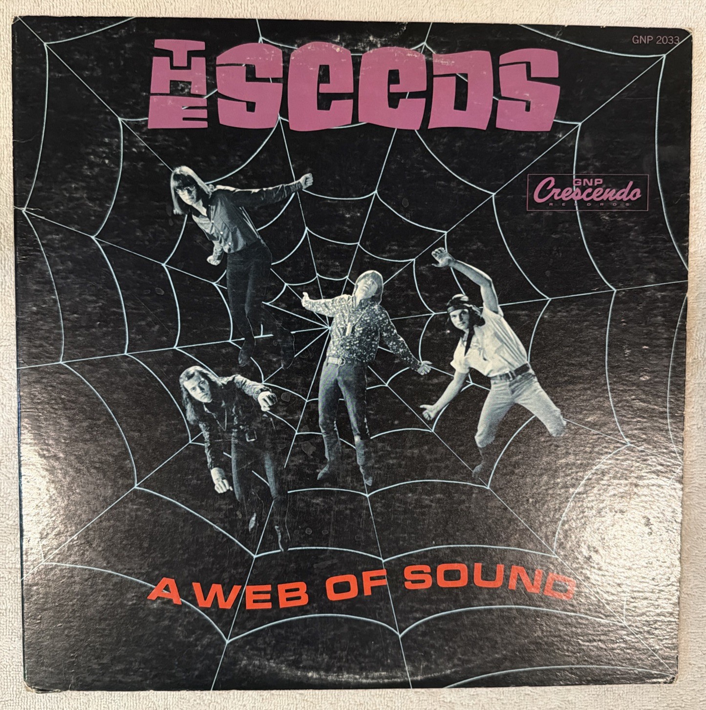 The Seeds A Web Of Sound LP Record MONO 1st Issue GNP Crescendo 1966 Clean Copy