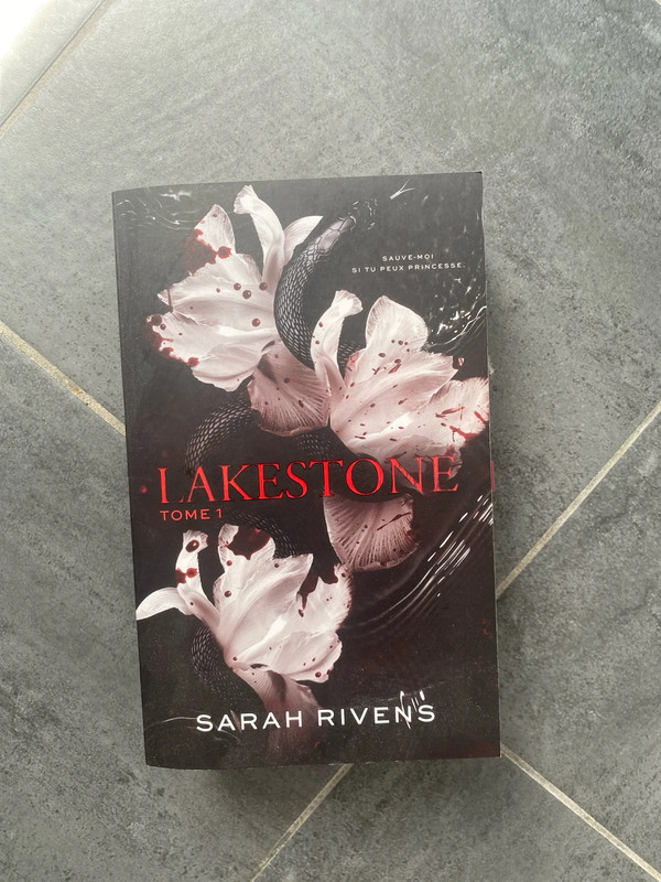 lakestone tome 1
