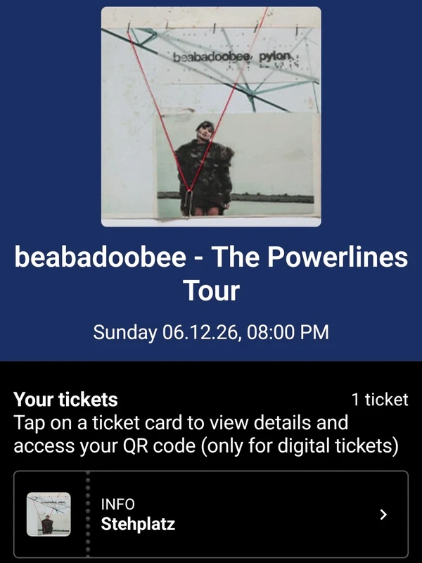 Beebadoobie Konzert