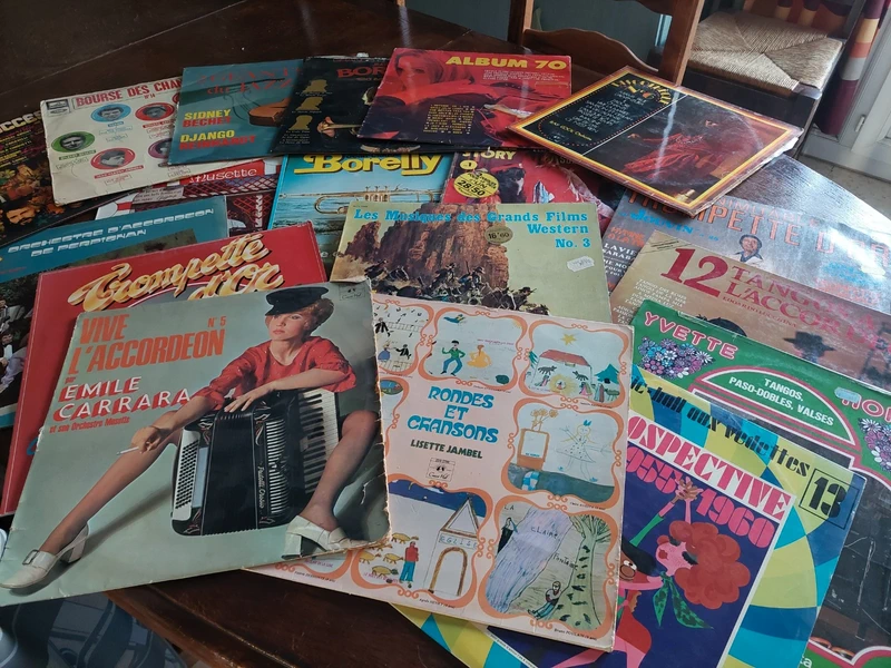 19 disques 33 tours ( 18 albums ) vintage