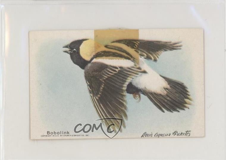 1938 Arm & Hammer Useful Birds of America Series 9 Two Boxes Back Bobolink 3c7