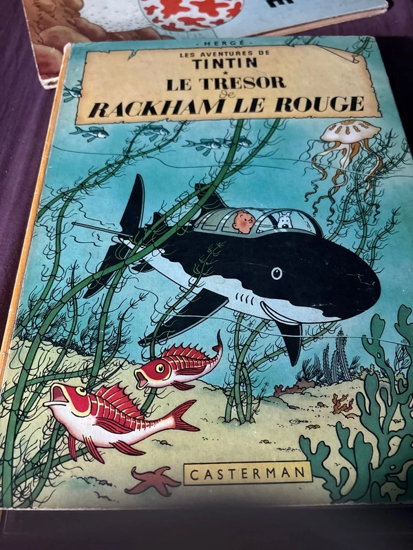 Les Aventures de Tintin - Le Tresor de Rackham le Rouge - Herge