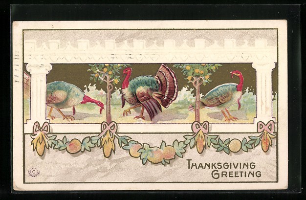 Thanksgiving Greeting, tacchini sotto alberi da frutto, cartolina 1911