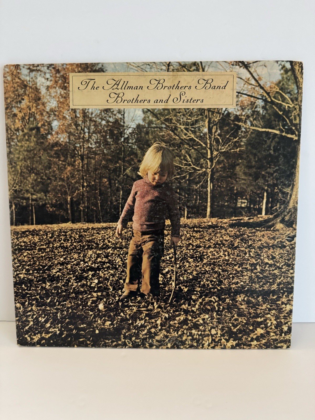 The Allman Brothers Band  Brothers and Sisters Vinyl LP Gatefold Tested VG+