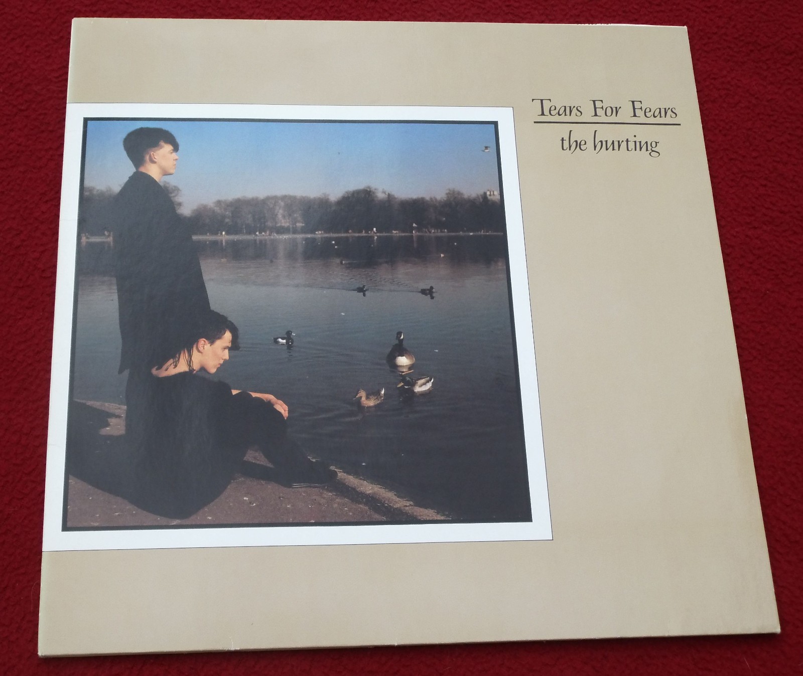 Vinyl LP* Tears For Fears ‎–  The Hurting (1983) *RAR