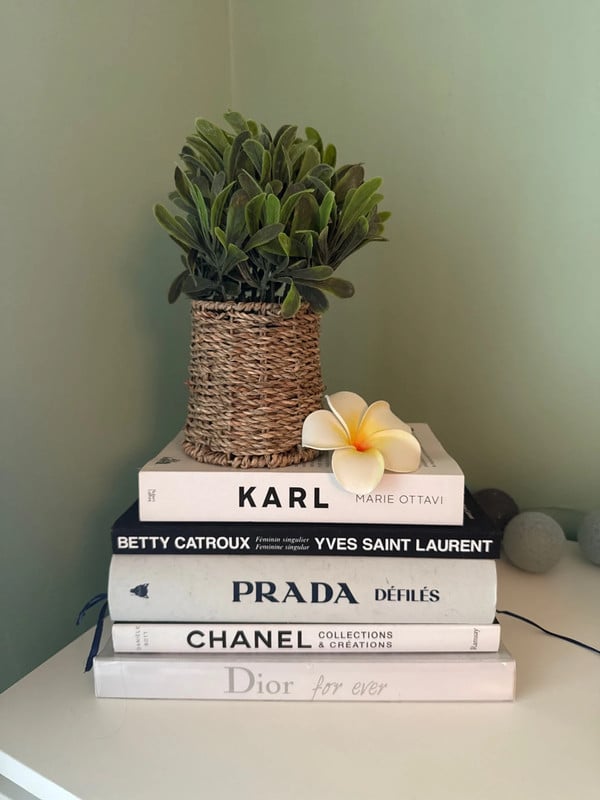 Lot de 5 livres de marque de luxe