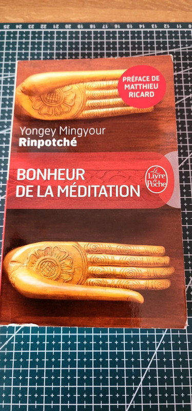 Bonheur de la méditation