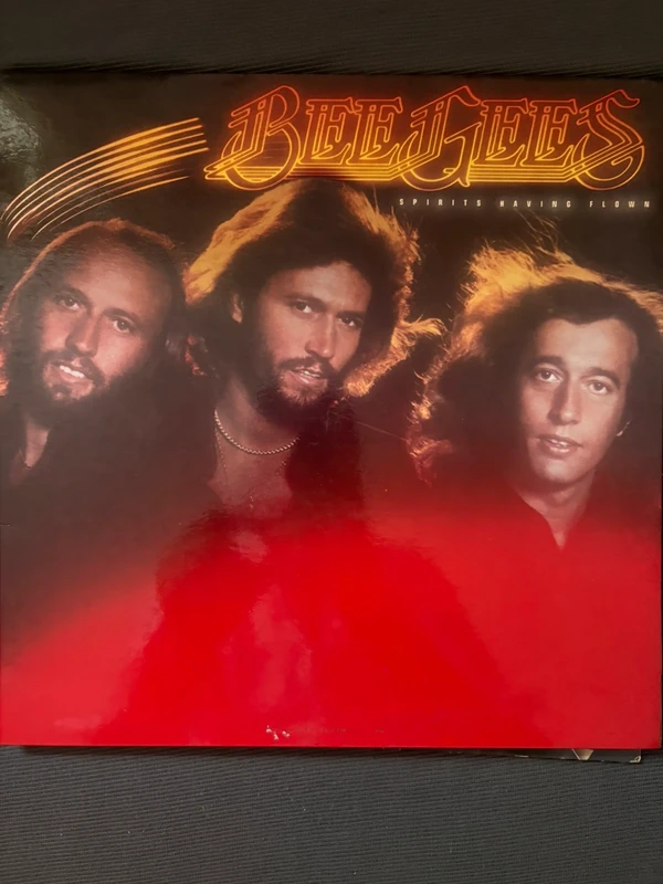Vinile BeeGees