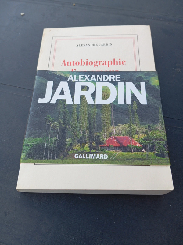 Autobiographie d'un amour