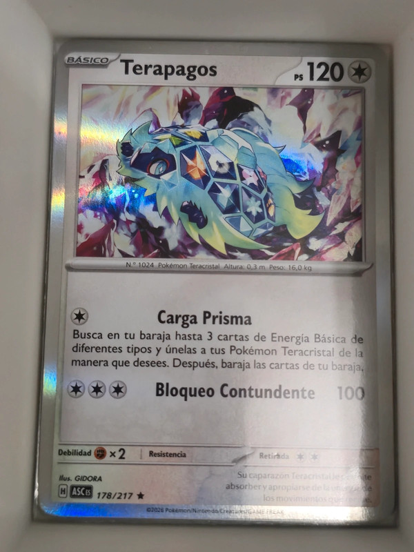 Terapagos Holografico
