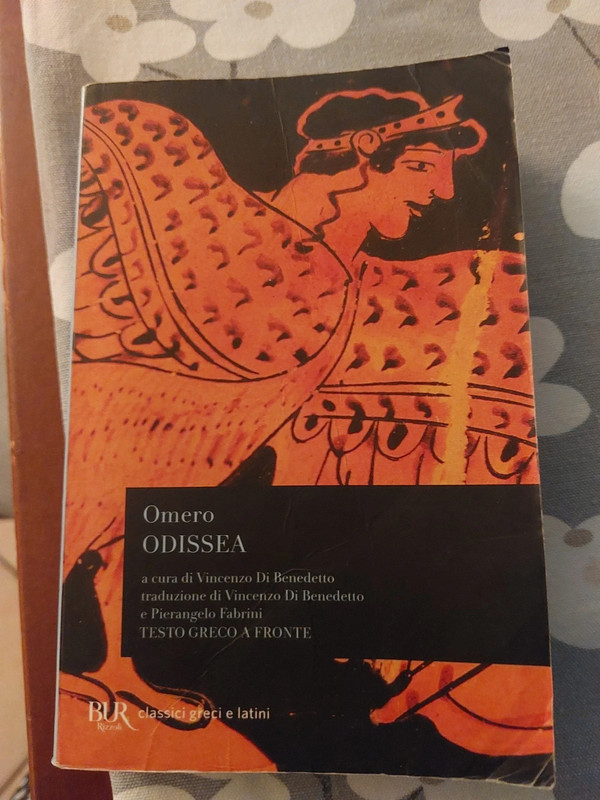Odissea di Omero