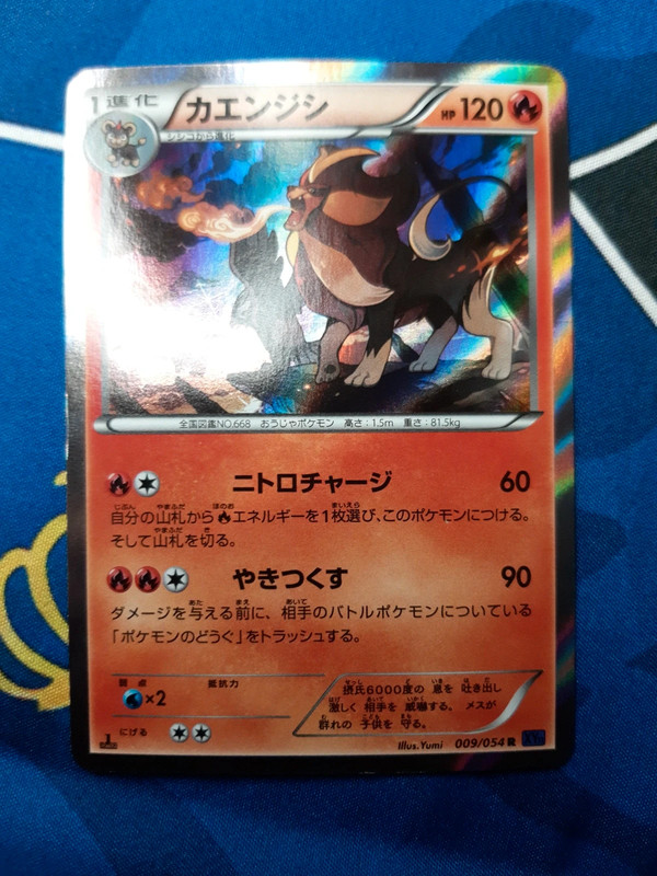 🇯🇵 Némélios 009/054 XY11f 🇯🇵