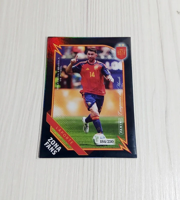 Pasion España Panini