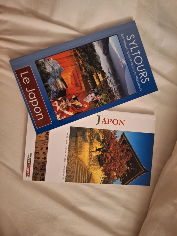 Lots anciens guide Japon