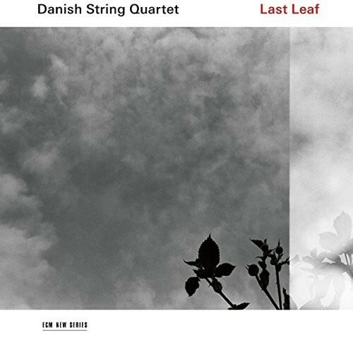 Last Leaf  audioCD Used - Very Good