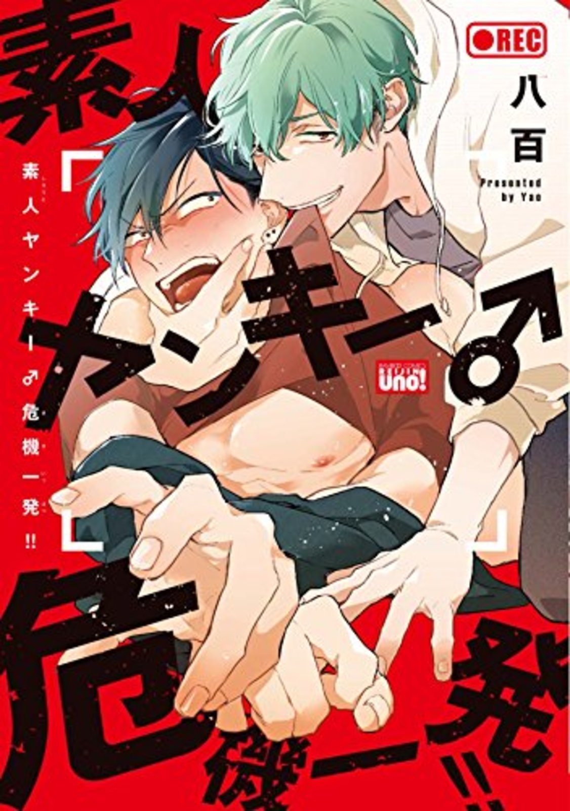 Shirouto Yankee Kikiippatsu!! Vol.1 BL Yaoi Boys Love fumetto giapponese Giappone