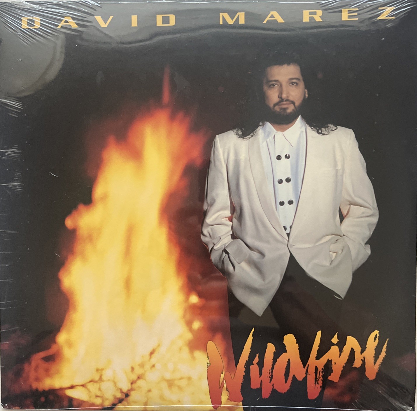 David Marez “Wildfire” Tejano Tex Mex Record Lp