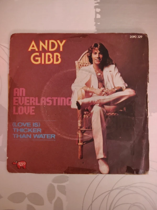 Vinyle 45 tours